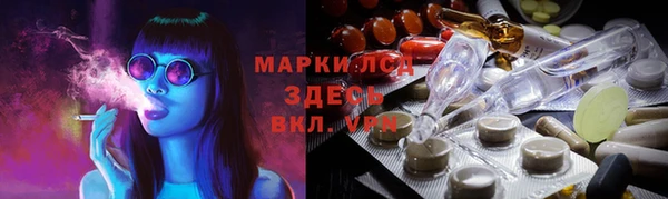 хмурый Абаза