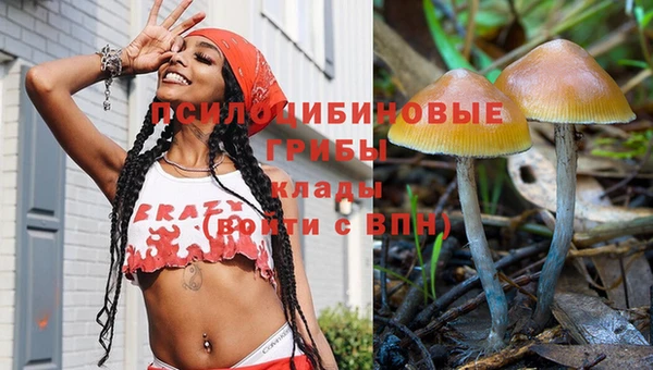 ПСИЛОЦИБИНОВЫЕ ГРИБЫ Абинск