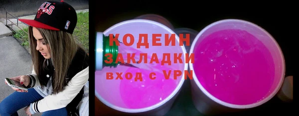 хмурый Абаза