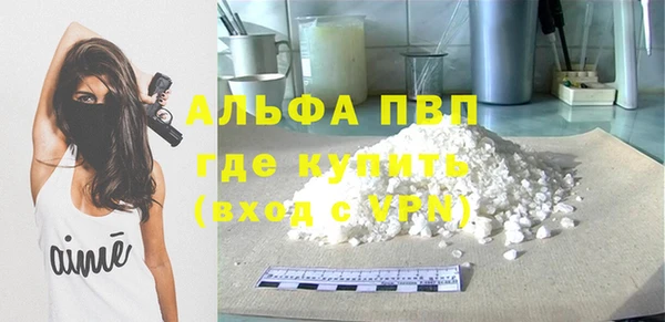 хмурый Абаза