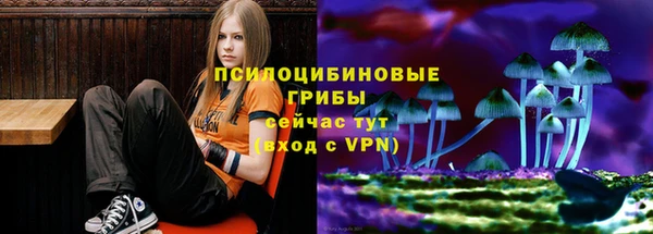ПСИЛОЦИБИНОВЫЕ ГРИБЫ Абинск