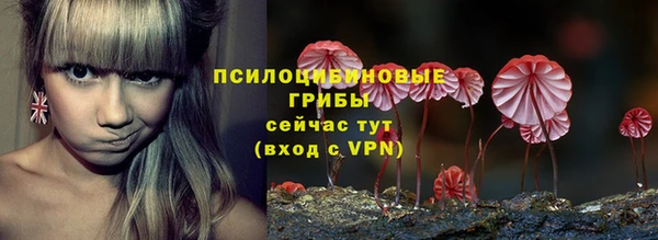 ПСИЛОЦИБИНОВЫЕ ГРИБЫ Абинск