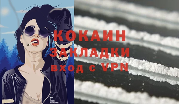 хмурый Абаза