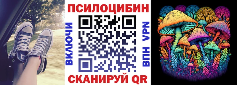 Галлюциногенные грибы Cubensis  Урус-Мартан 